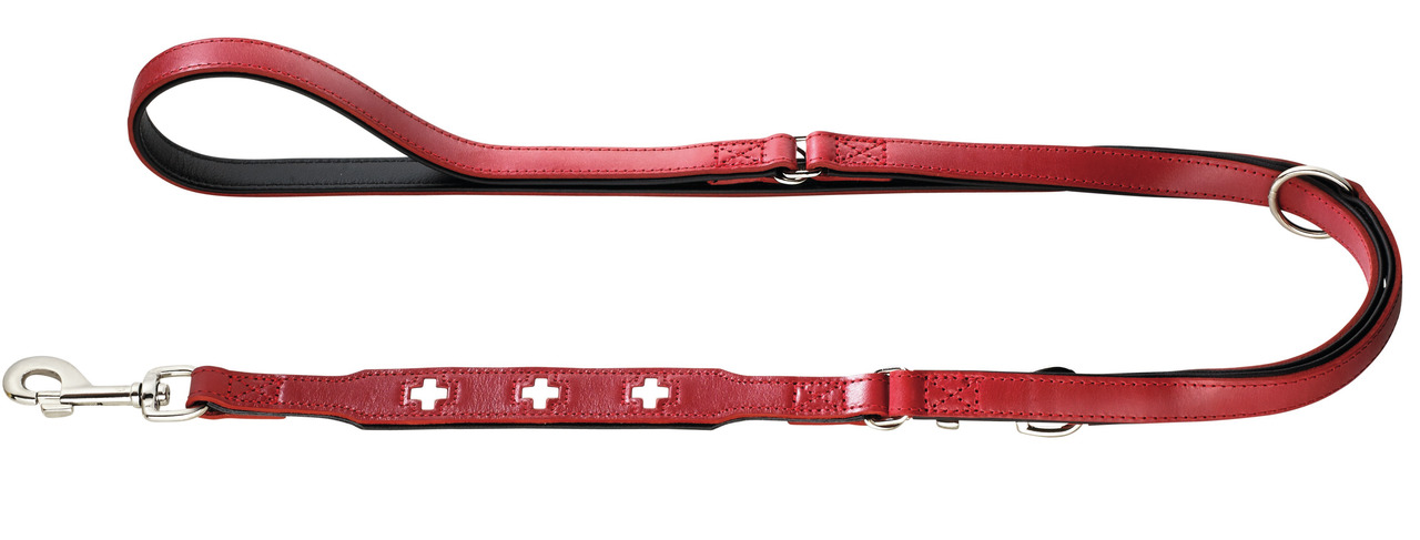HUNTER Hundeleine, Leder, Kreuz-Ausschnitte, für alle Hunde, ideal Spaziergänge/Training, stabiler Karabiner, verstellbar.