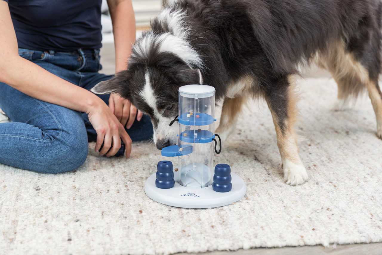 Trixie Dog Activity Gambling Tower Strategiespiel Hunde Spielzeug 25 x 27 cm