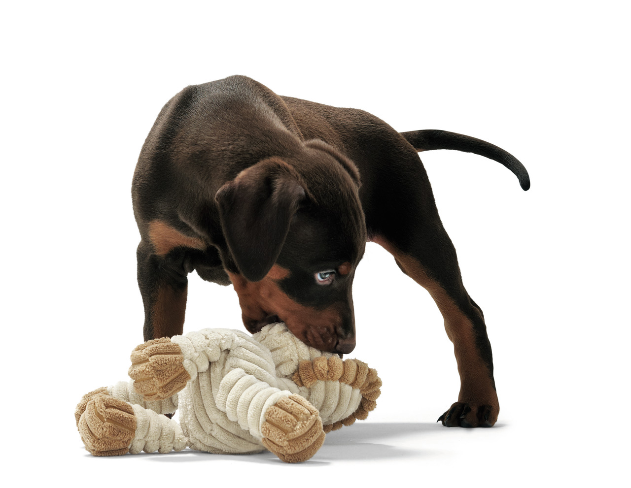 HUNTER Hundespielzeug, beige, Stoff, für Hunde, fördert Zahnpflege & Beschäftigung, ideal für Welpen.