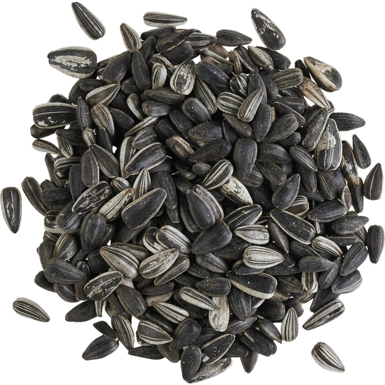 Das Bild zeigt eine Nahaufnahme von schwarzen Sonnenblumenkernen der Marke Lottis Piepmätze. Dieses Vogelfutter ist speziell für Wildvögel geeignet und bietet eine natürliche Energiequelle. Die Kerne sind unbehandelt und reich an Nährstoffen, ideal für di