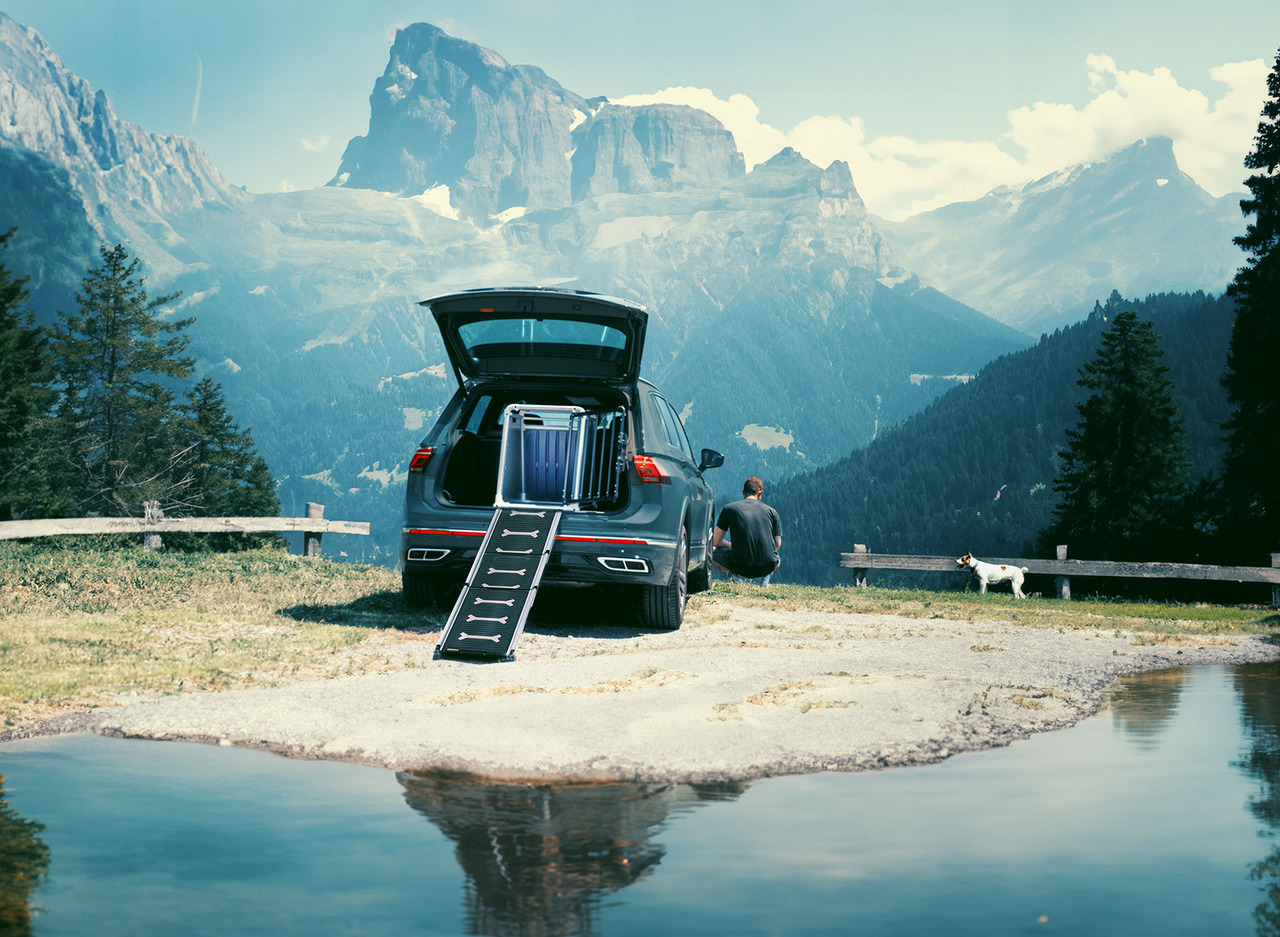 4pets Hunderampe, ideal für Hunde, erleichtert Einstieg ins Auto. Perfekt für Reisen.