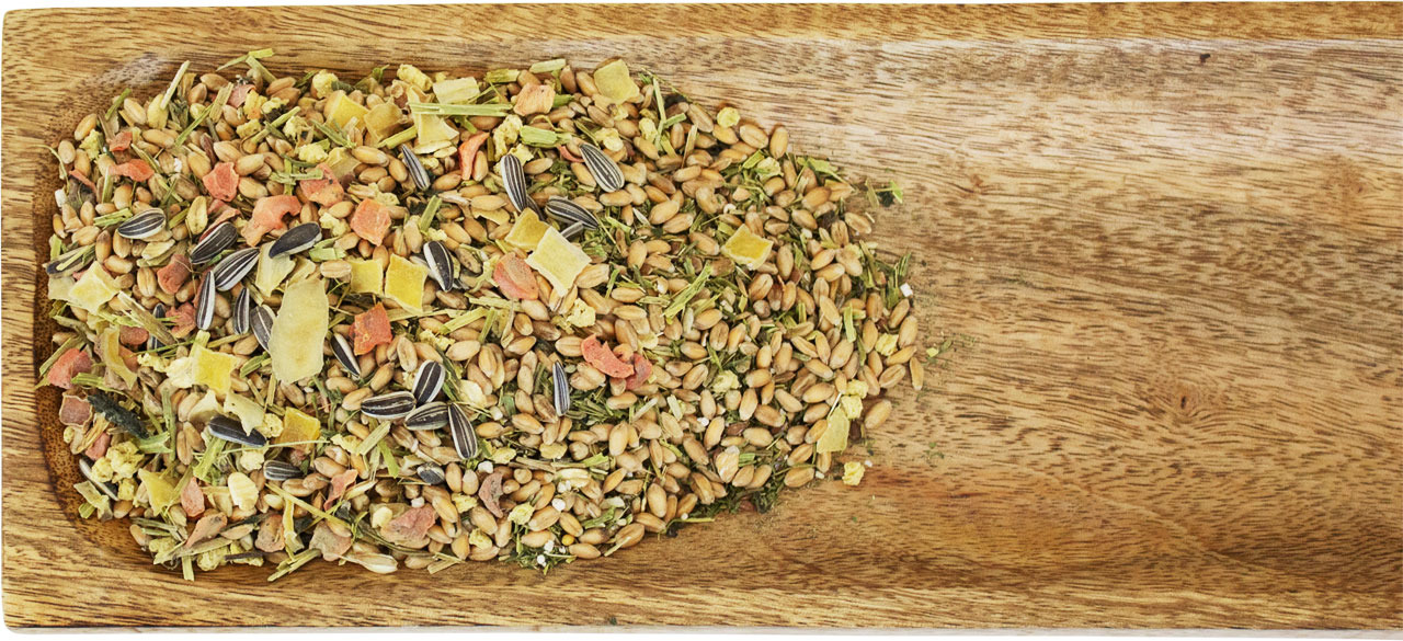 JR FARM Kleintierfutter, für Nagetiere (Hamster-Meerschweinchen), mit Getreide, Sonnenblumenkernen, Gemüse, Obst & Kräutern.