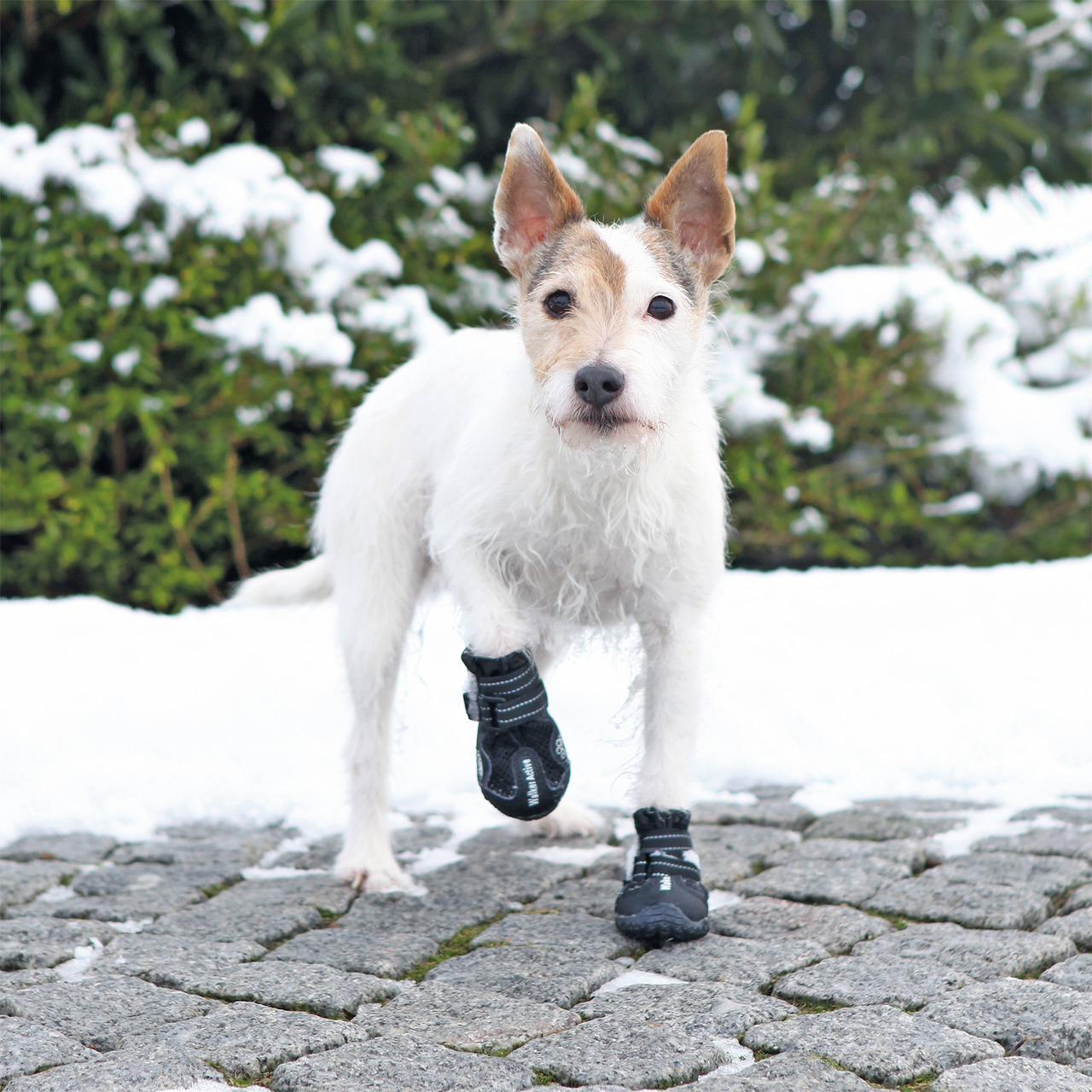 Trixie Pfotenschutz Walker Active Hunde Schuhe S - M