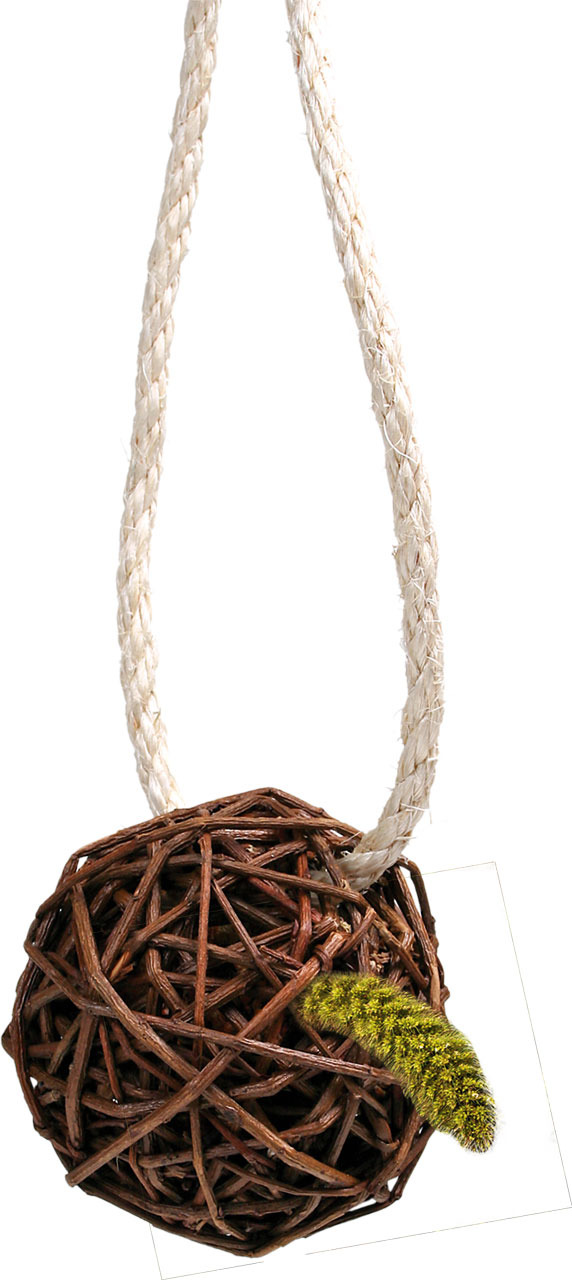 JR FARM Spielball aus Weidenzweigen, für Kaninchen-Meerschweinchen, mit Seilaufhängung & essbarem Anhänger, fördert Beschäftigung-Zahnpflege.