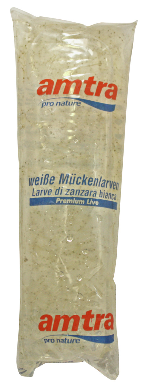 amtra Premium Live weiße Mückenlarven, Futter für Aquarienfische, lebend, in klarer Flüssigkeit, längliche Verpackung.