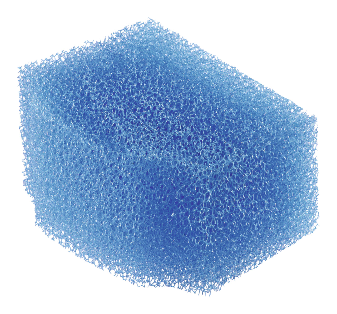 Ein blauer Filterschaumwürfel der Marke Oase, speziell entwickelt für die Reinigung und Filterung von Wasser in Aquarien oder Teichen. Der Schaum hat eine poröse Struktur, die Schmutzpartikel effektiv auffängt und gleichzeitig eine optimale Wasserzirkulat