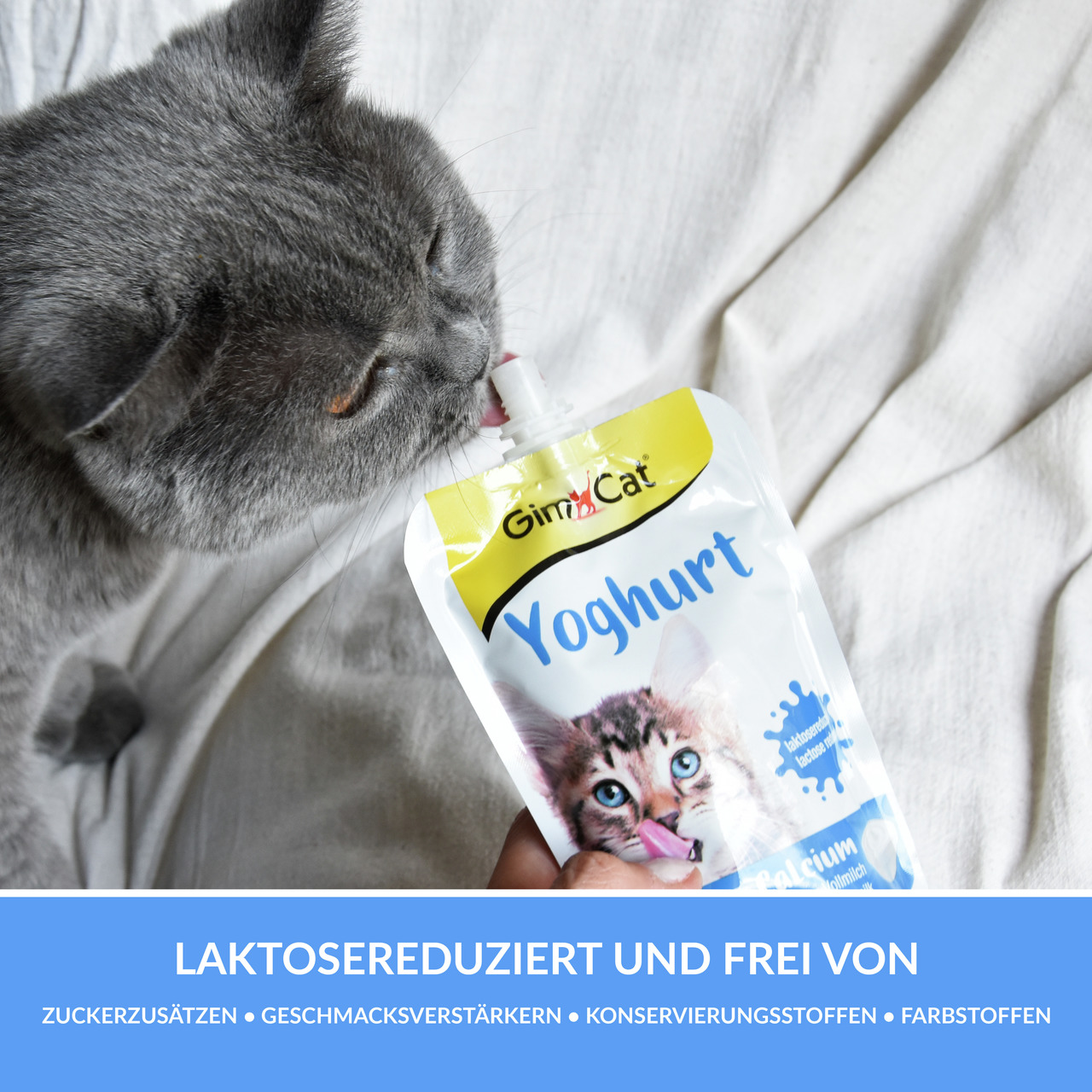 GimCat Yoghurt für Katzen, laktosereduziert, ohne Zuckerzusatz, Geschmacksverstärker, Konservierungs- & Farbstoffe.