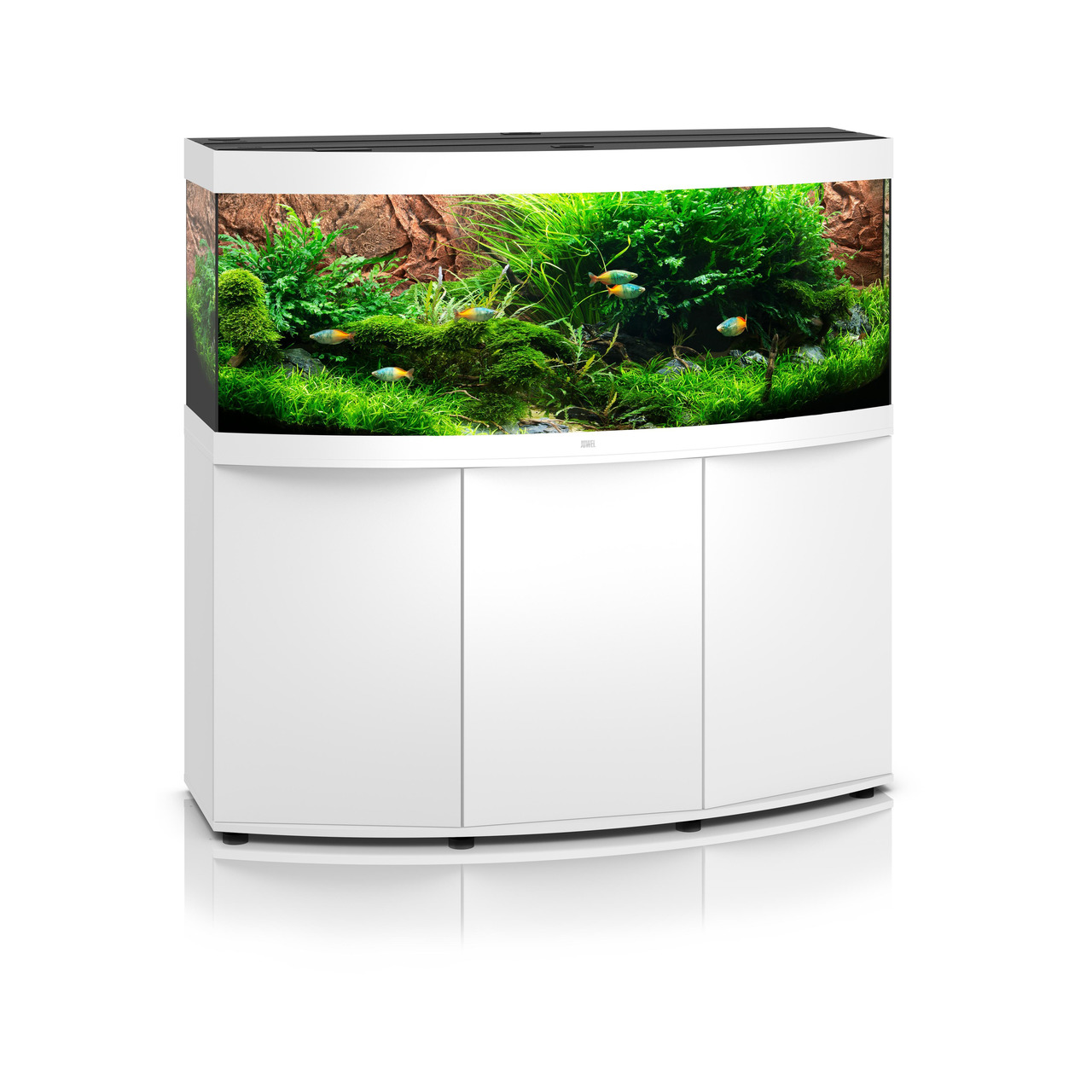 Das Bild zeigt das JUWEL Vision 260 LED Aquarium in Weiß, ein hochwertiges Aquarium für Aquaristik-Enthusiasten. Es bietet ein gebogenes Frontglas für eine Panoramaansicht und ist mit üppiger grüner Bepflanzung sowie kleinen Zierfischen ausgestattet. Das 