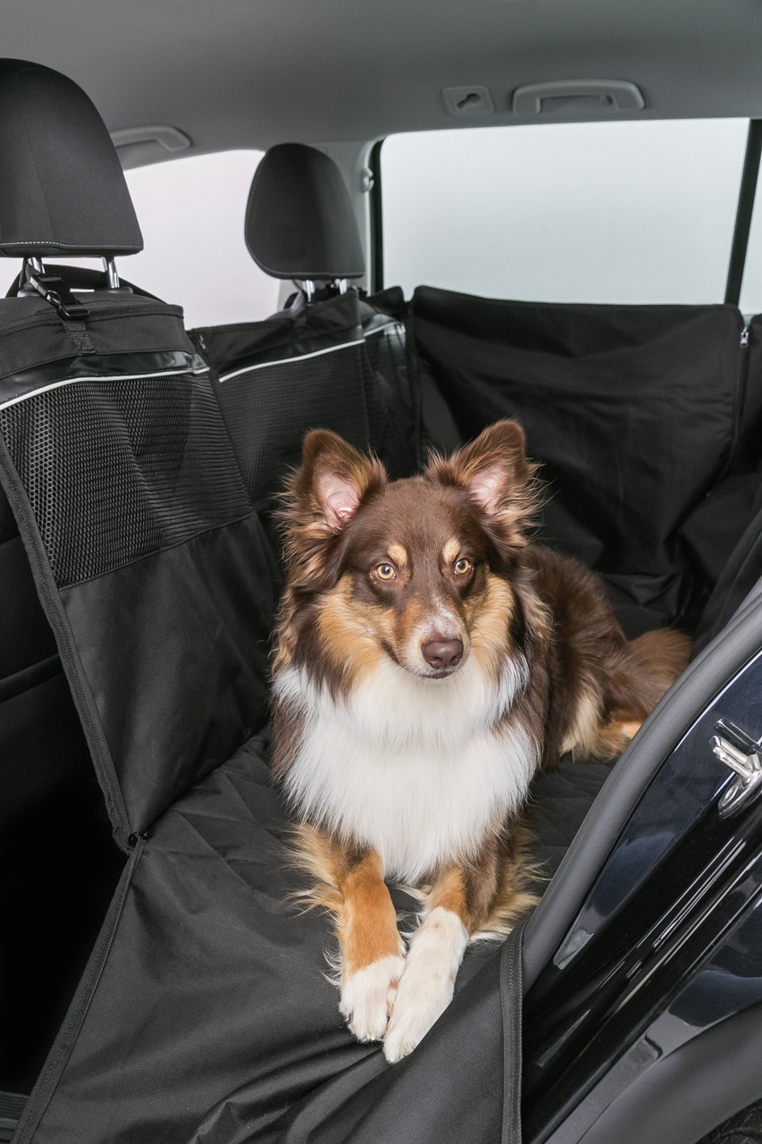Auf dem Bild ist eine schwarze Autoschondecke der Marke TRIXIE zu sehen, die auf der Rückbank eines Autos angebracht ist. Sie schützt die Sitze vor Schmutz und Tierhaaren. Ein mittelgroßer Hund sitzt entspannt auf der Decke. Die Schondecke ist mit Netzein