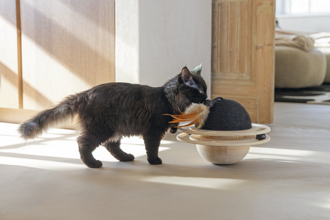 DBL Holz Spielball Baya schwarz 30x30cm Bild 3