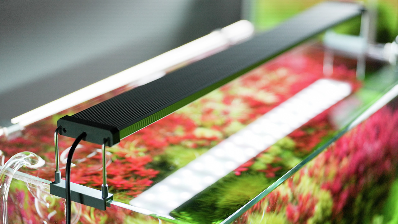 Chihiros WRGB II Aquarium-LED-Leuchte, für offene Aquarien, fördert Pflanzenwachstum, beleuchtet Rot-/Grüntöne, schlank, schwarz.