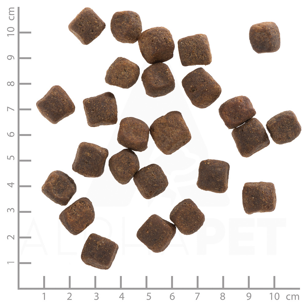 Wolfsblut Trockenfutter Wide Plain für ausgew. Hunde, Pferdefleisch, getreidefrei, würfelförmige Kroketten (1,5 cm).