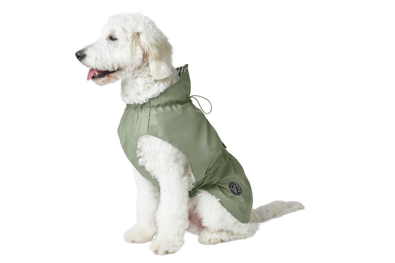 Ein weißer, lockiger Hund trägt einen olivgrünen Hundemantel der Marke HUNTER. Der Mantel ist für Hunde geeignet und bietet Schutz vor Regen und Wind. Er hat eine Kordel zur Anpassung und ein Markenlogo an der Seite. Ideal für mittelgroße bis große Hunde.