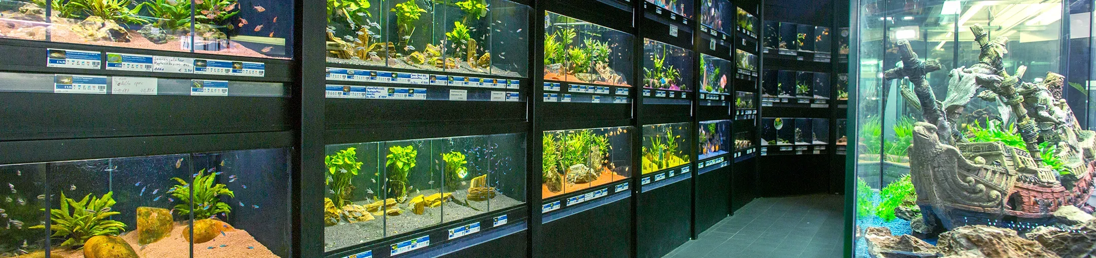 Balingen Header Desktop 414df6ed1f