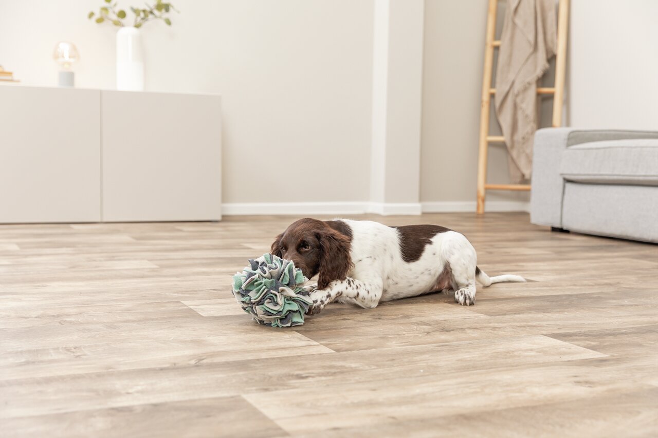 TRIXIE Schnüffelteppich, interaktives Spielzeug für Hunde, Grün-Grau, fördert mentale Auslastung, ideal für alle Größen.