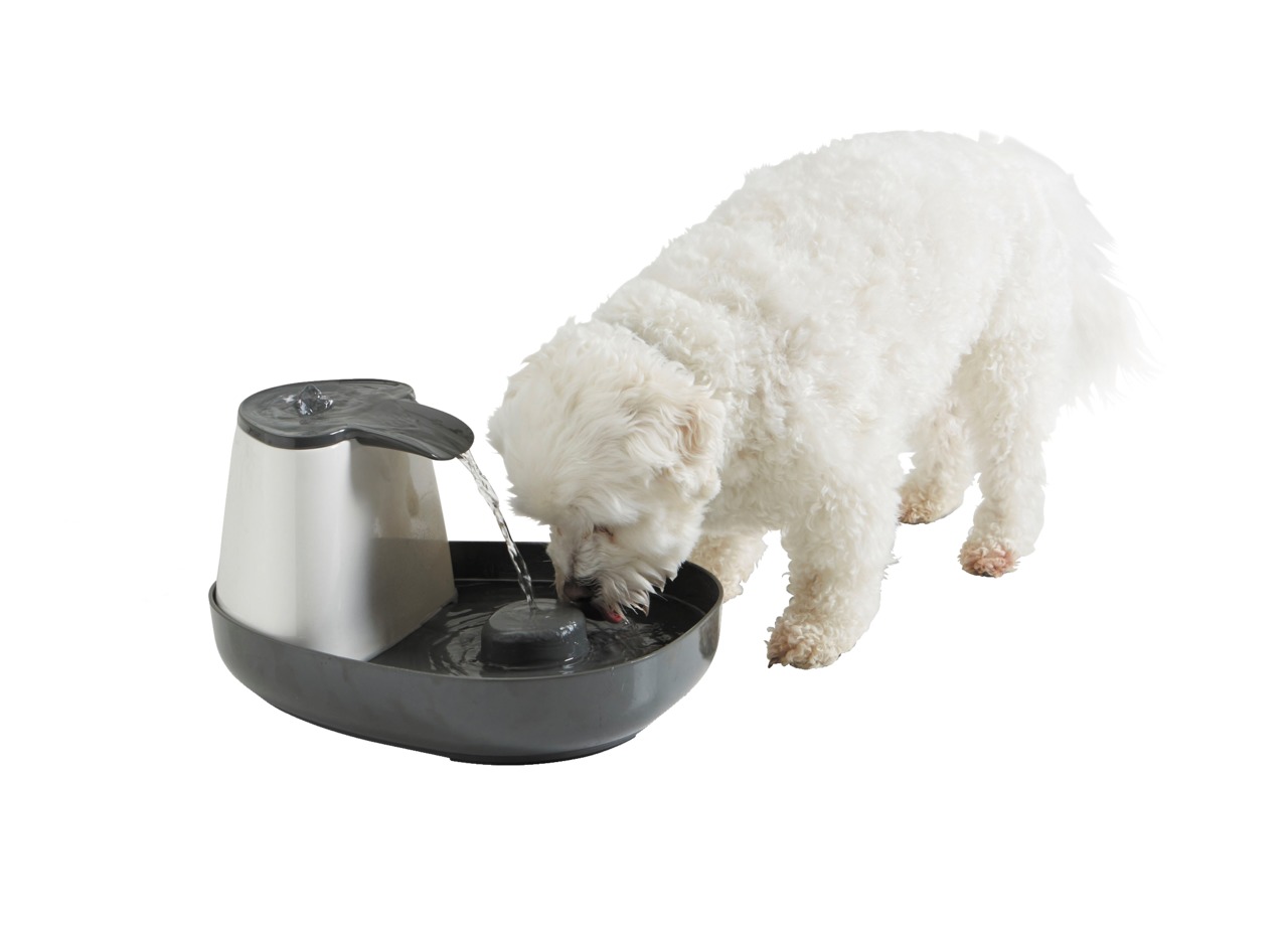 Savic Cascade Trinkbrunnen, für Hunde & Katzen, Edelstahl/Kunststoff, fördert Flüssigkeitsaufnahme, ideal für frisches Wasser.