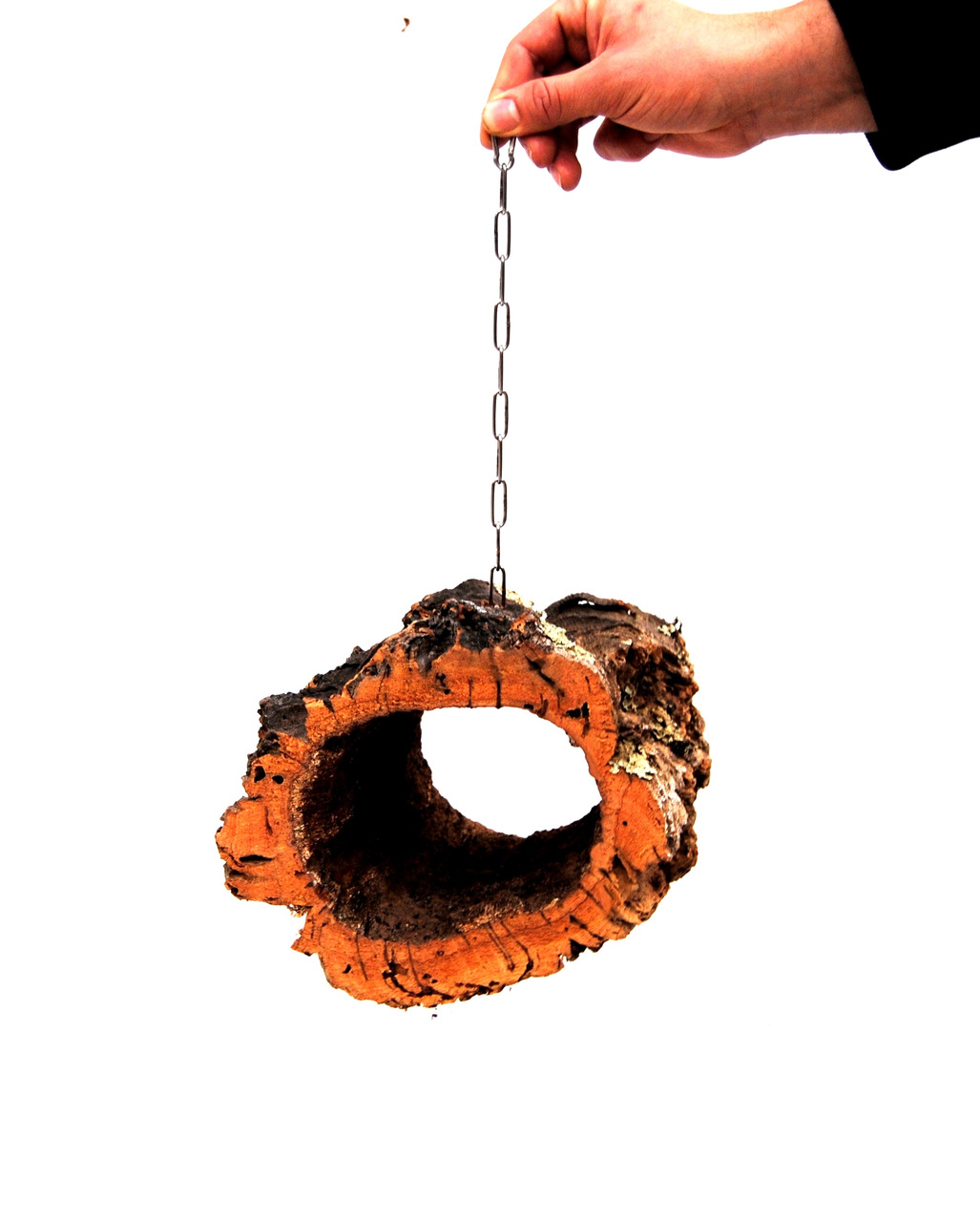 Auf dem Bild ist ein natürliches Korkröhren-Spielzeug der Marke Ollesch zu sehen, das speziell für Vögel und Kleintiere entwickelt wurde. Es besteht aus einer robusten Korkröhre, die an einer Metallkette befestigt ist, und dient als Spiel- und Versteckmög