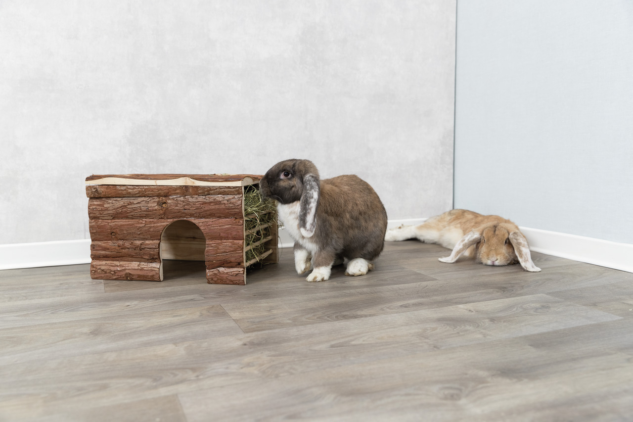 TRIXIE Kleintierhaus aus Holz, für Kaninchen, mit Heuraufe, natürl. Optik, Rückzugsort.