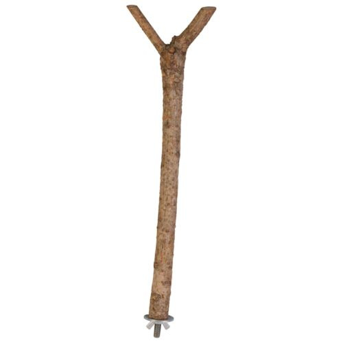 TRIXIE Sitzast für Ziervögel, aus unbehandeltem Holz, mit Schraubbefestigung, artgerecht, sicher & bequem.