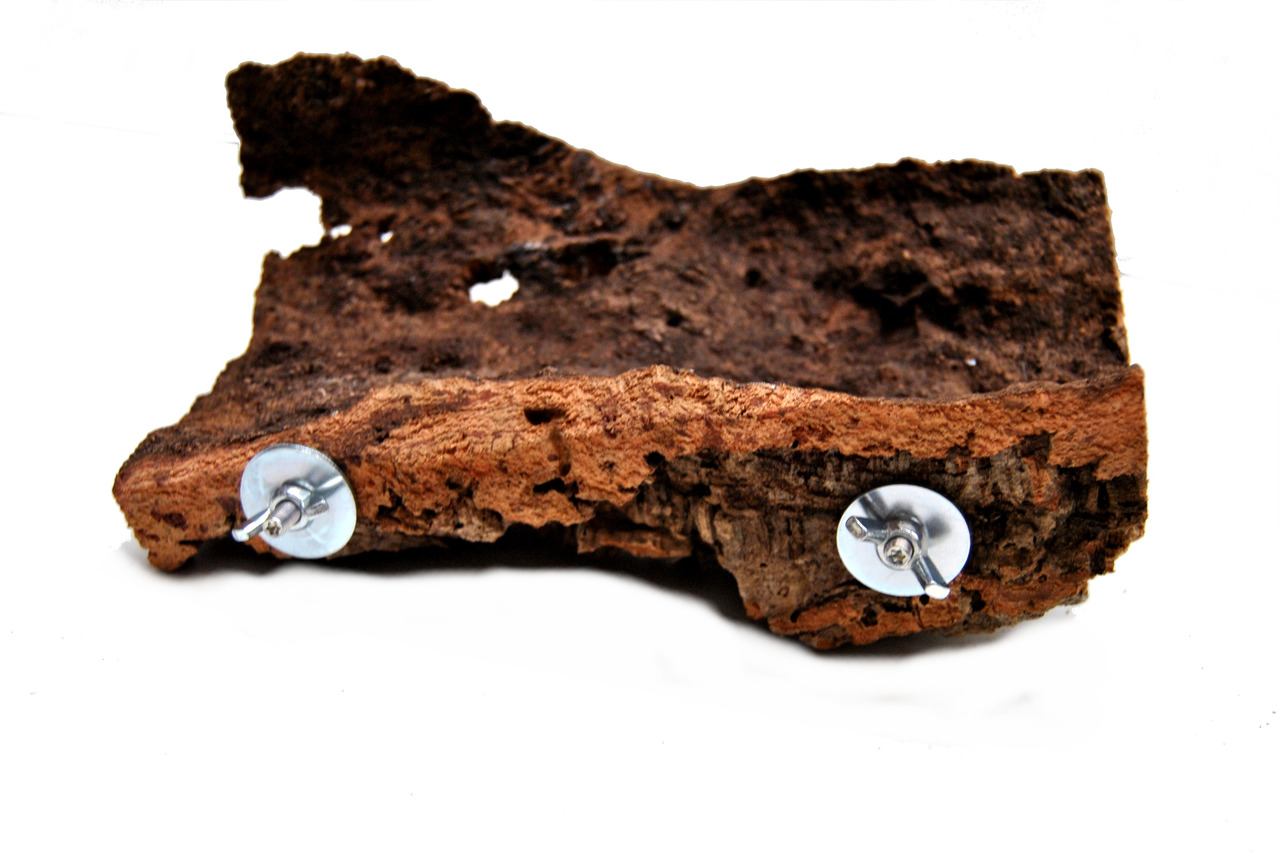Korkrinde Ollesch, für Reptilien/Nagetiere, mit 2 Metallhalterungen, ideal zum Klettern/Verstecken, natürliche Struktur.
