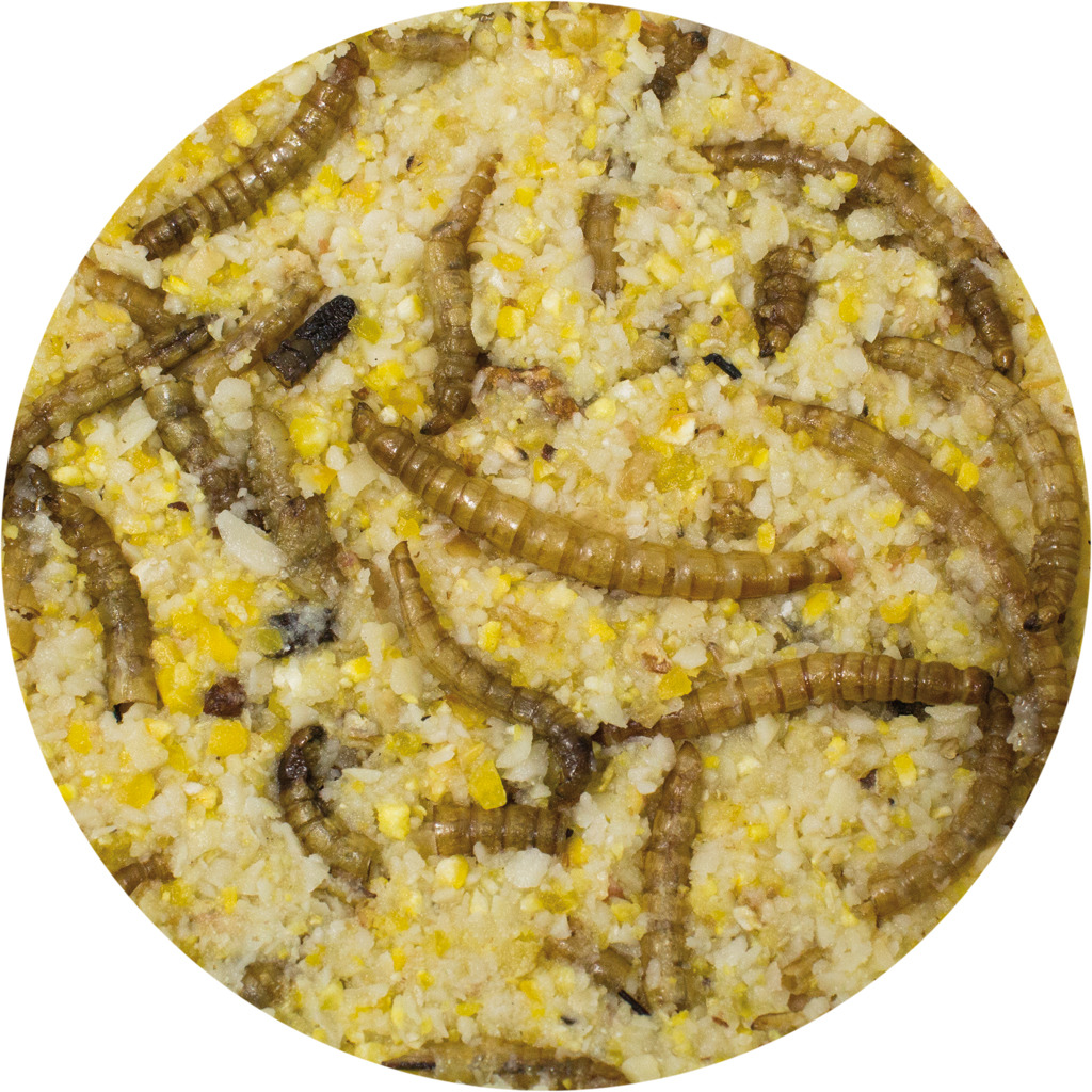 JR FARM Mehlwurm-Energieblock, Futtermischung für Wildvögel, Mehlwurm-Geschmack, 500 g, fördert Vitalität & Gesundheit.