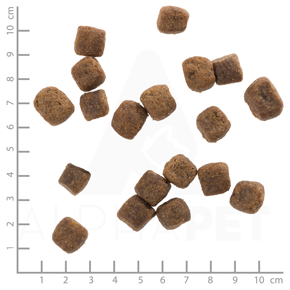 Wolfsblut Trockenfutter für ausgewachsene Hunde, Geschmacksrichtung Wildfleisch, getreidefrei, würfelförmige Kroketten (1 cm).