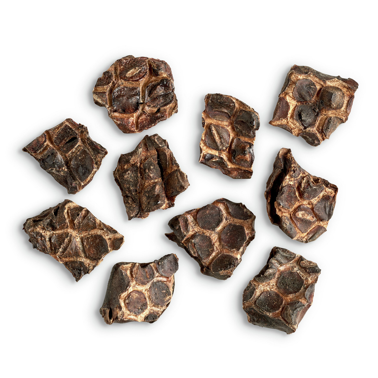 LOTTIS HÄPPCHEN Rinderlunge, natürl. Kausnack f. Hunde aller Größen/Rassen, ca. 10 Stk., ideal zur Belohnung/Zahnpflege.