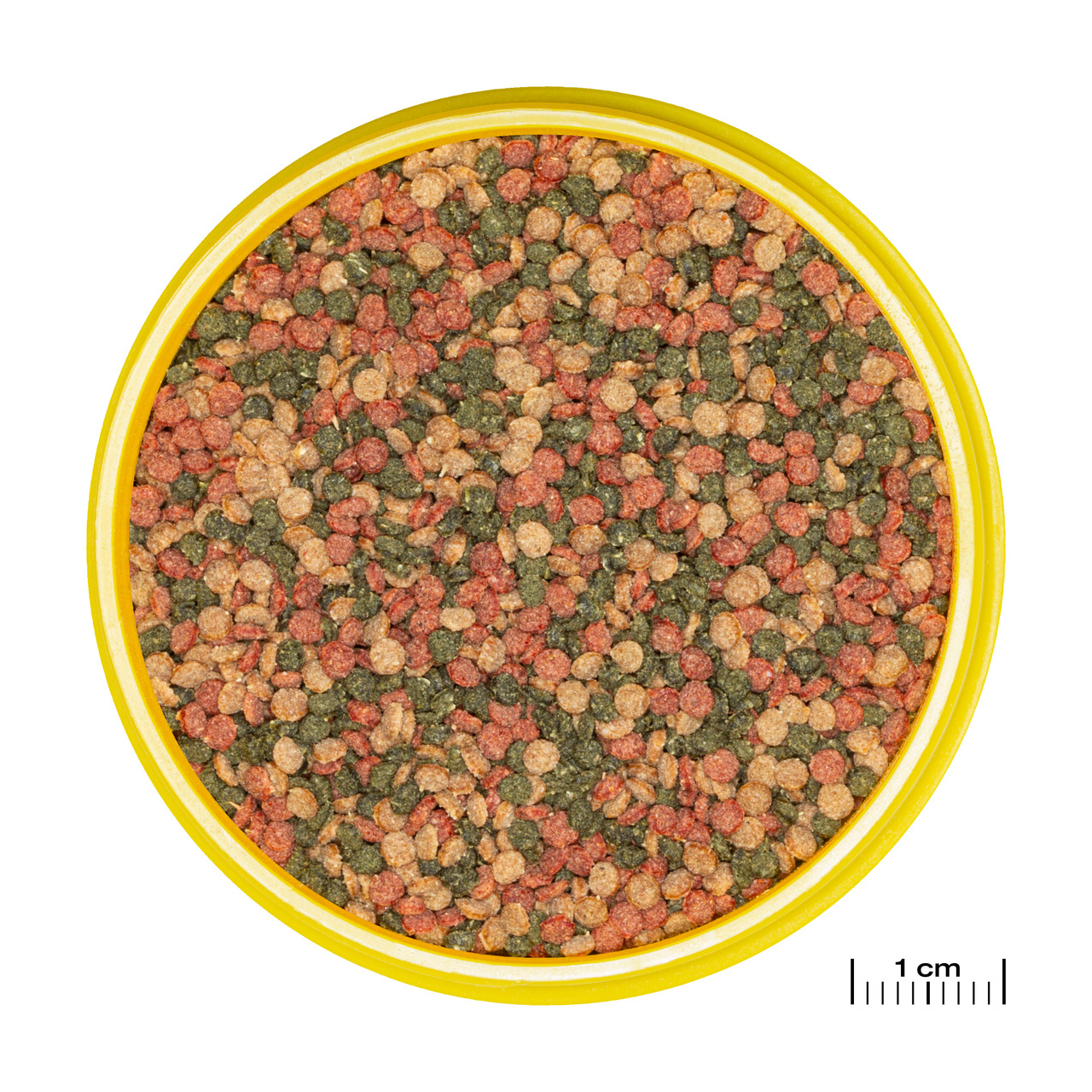 Das Bild zeigt eine geöffnete gelbe Dose mit JBL NovoBel Hauptfutter für Zierfische. Die Dose enthält eine Mischung aus roten, grünen und gelben Flocken, die speziell für alle Süßwasser-Zierfische entwickelt wurde. Das Futter fördert die Gesundheit, Farbe