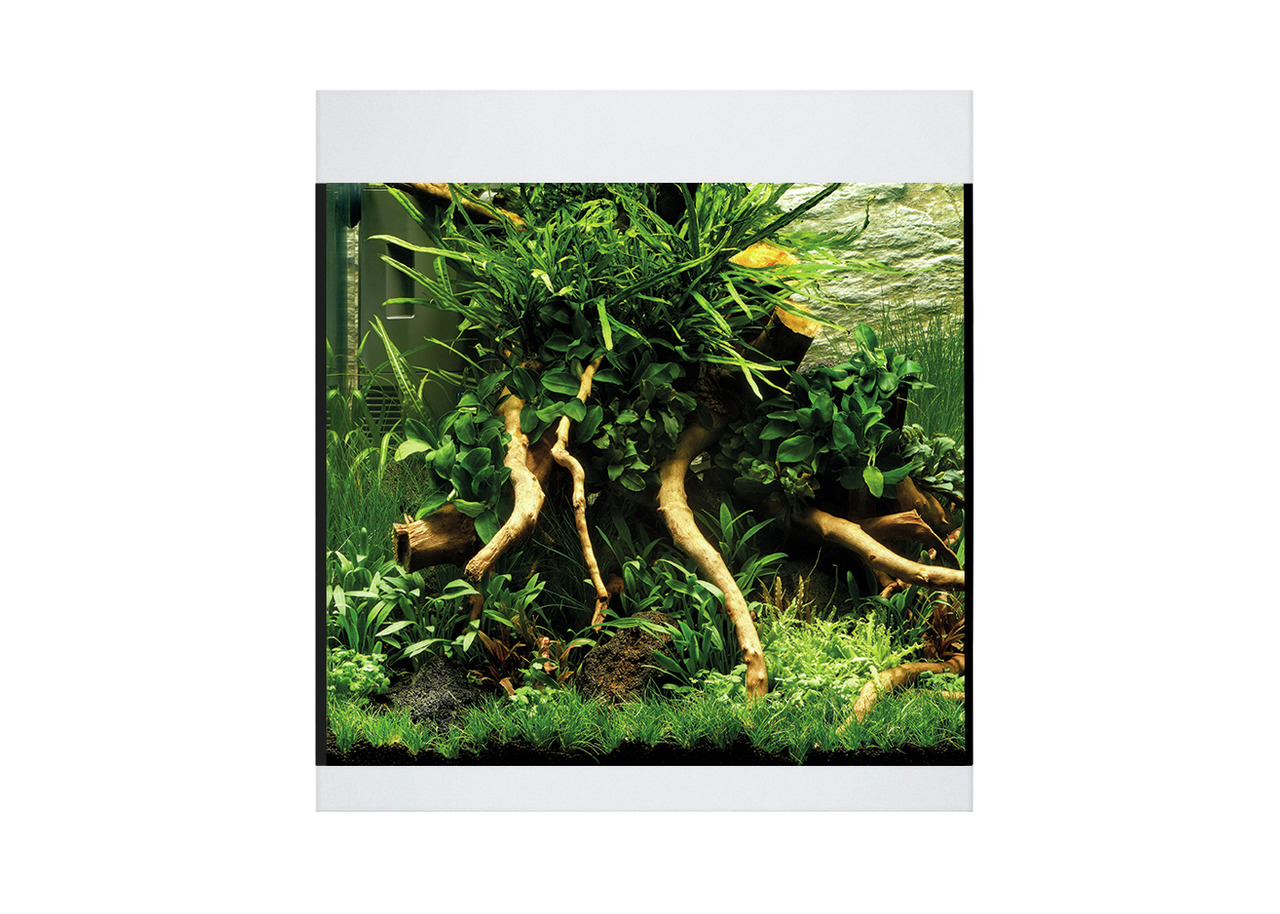 Oase ScaperLine Aquarium, für Aquaristik-Enthusiasten, ideal für kreatives Aquascaping, mit Pflanzen & Wurzeln, natürliche Optik.