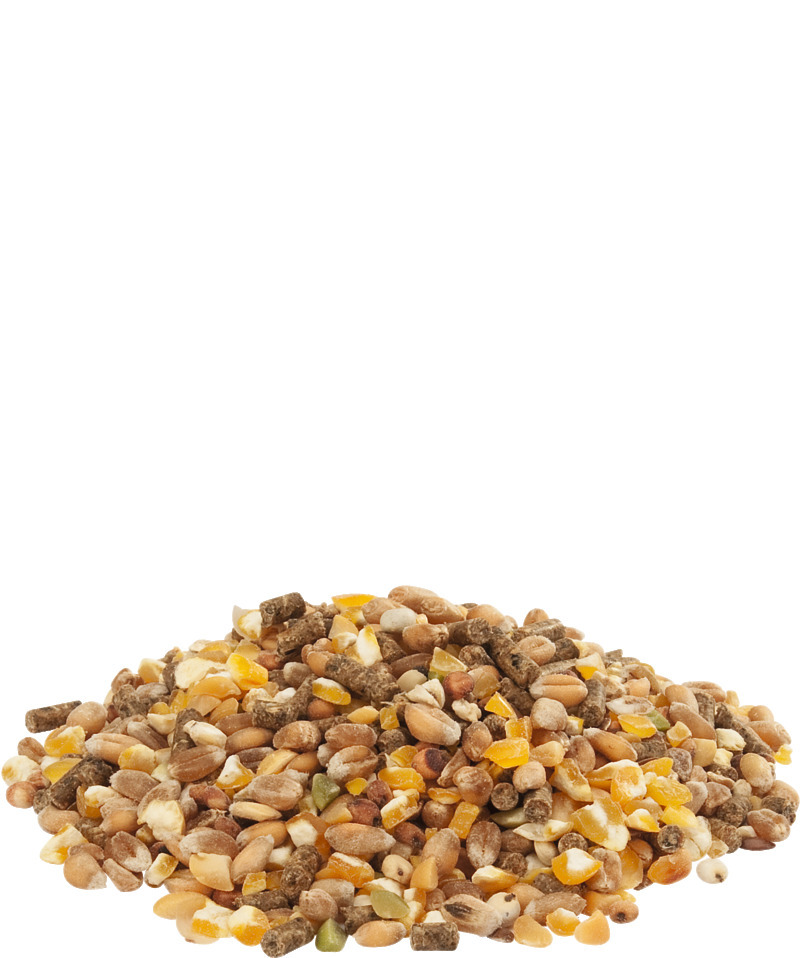 Versele-Laga Körnermischung für Ziervögel, mit Getreide, Samen & Pellets, fördert ausgewogene Ernährung, 1kg.