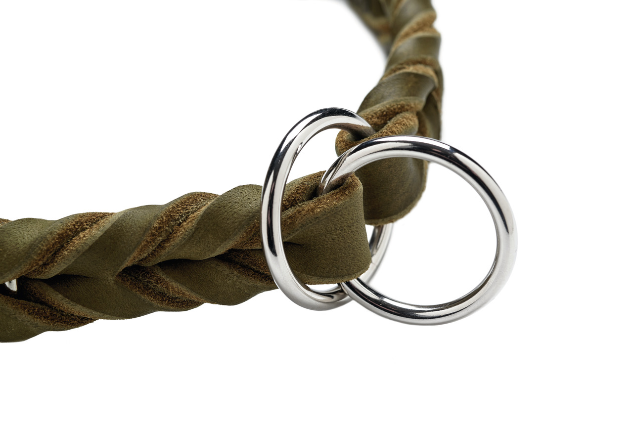 HUNTER Hundehalsband "Solid Education", olivgrünes Leder, 2 Metallringe, für Hunde, langlebig, stilvoll, komfortabel.