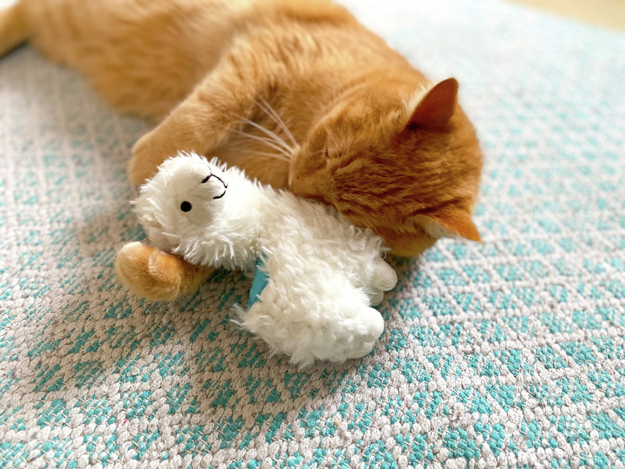 Ein roter Kater liegt entspannt auf einem hellblauen Teppich und kuschelt mit einem weißen Plüsch-Lama-Spielzeug. Das Produkt ist das Aumüller Baldrian-Lama, ein Katzenspielzeug für Katzen aller Altersgruppen. Es enthält Baldrian und Dinkelspelz, um Spiel