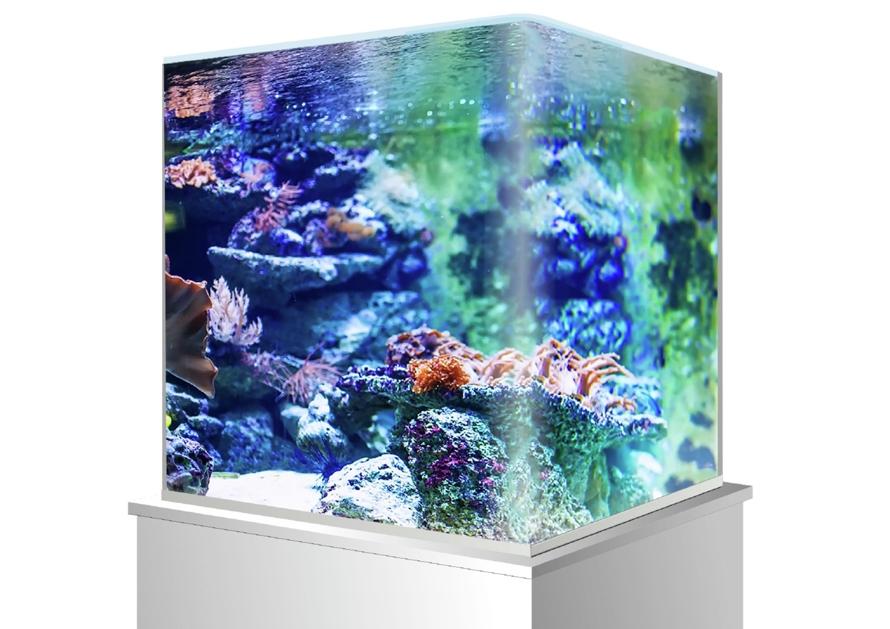 amtra Nanotank Glasbecken 45x45x45cm