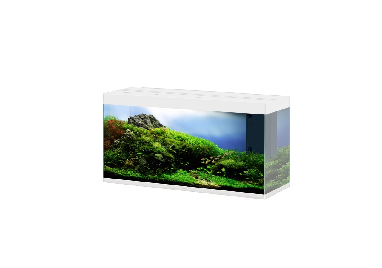Ciano Aqua 60 LED, 58 L, rechteckiges Aquarium, bepflanzt, für Süßwasserfische, ideal für Aquaristik-Enthusiasten.