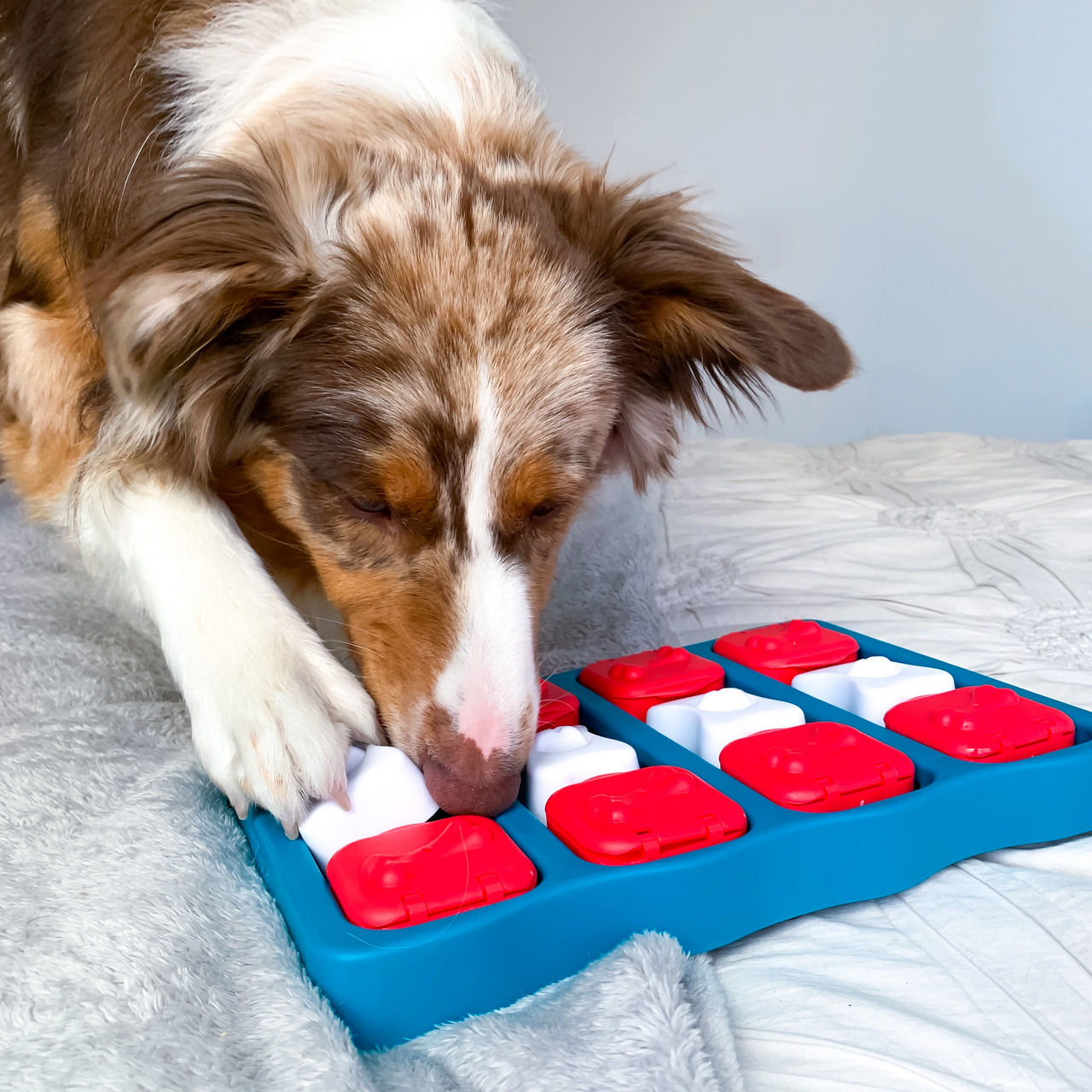 Outward Hound Dog Brick Puzzle, interaktives Intelligenzspielzeug für Hunde, Blau-Rot-Weiß, fördert mentale Stimulation, mit Leckerlifächern.