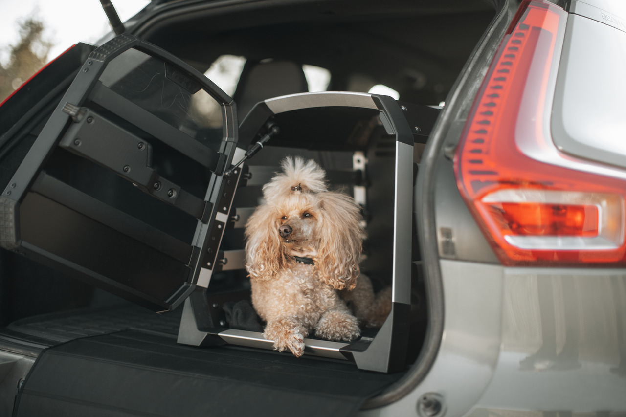 Thule Hundetransportbox, schwarz, für Hunde, sicher & komfortabel, ideal für Autofahrten, im Kofferraum eines silbernen Autos.