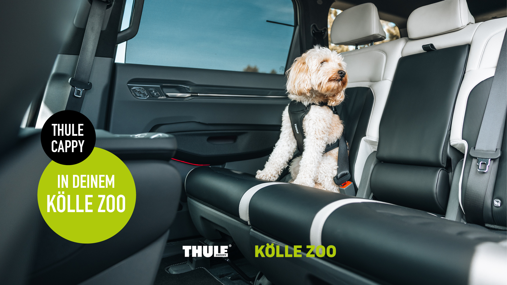 Thule%20posts 2026 Cappy Blog%20920%20x%20518