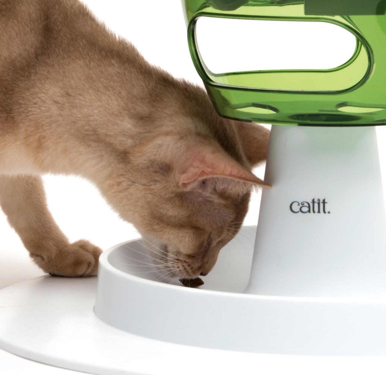 Das Bild zeigt eine beige Katze, die aus einem weißen Futternapf frisst, der Teil des Catit Senses 2.0 Futterlabyrinths ist. Das Produkt ist für Katzen aller Altersgruppen geeignet und dient der spielerischen Fütterung sowie der Förderung geistiger und kö