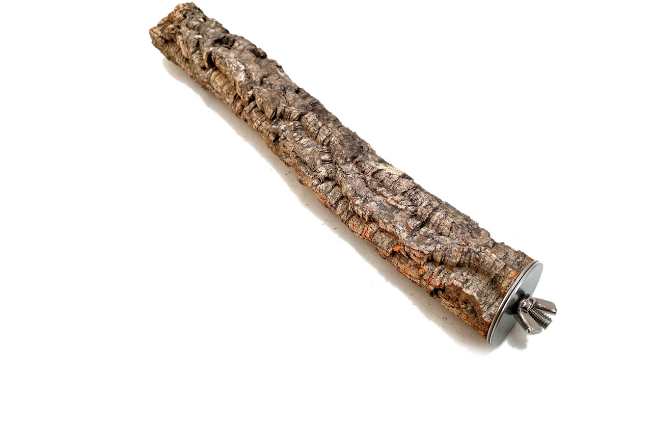 Ollesch Kork-Sitzstange, Papageien & Vögel, nat. Kork, Metallhalterung, 20 cm, fördert Fußgesundheit, bequem & sicher.