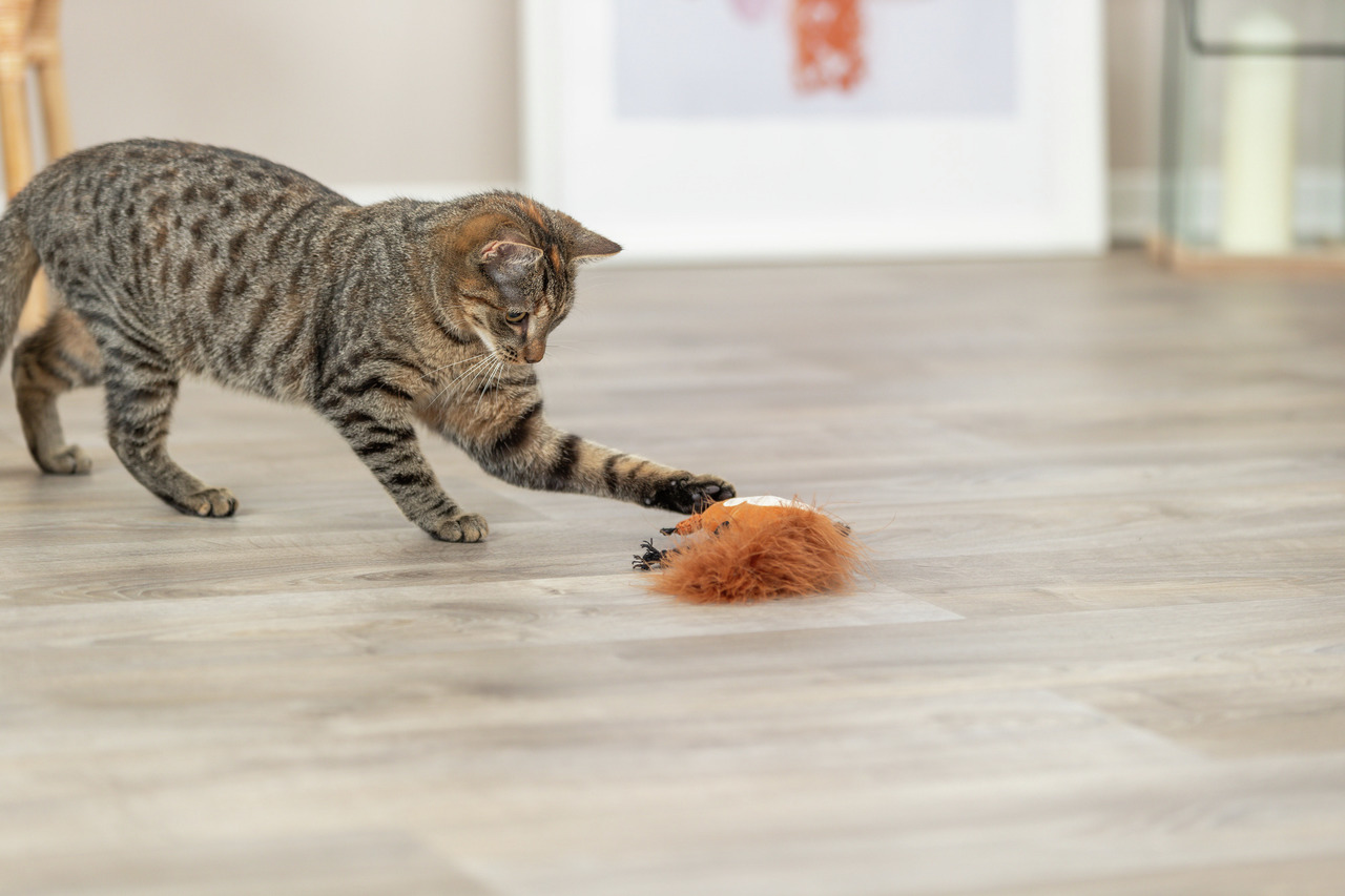 Eine getigerte Katze spielt auf einem hellen Holzboden mit dem TRIXIE Katzenspielzeug „Spielmaus mit Federn“. Das Produkt ist für Katzen aller Altersgruppen geeignet und fördert den Spieltrieb sowie die Bewegung. Die Spielmaus hat eine orangefarbene Feder
