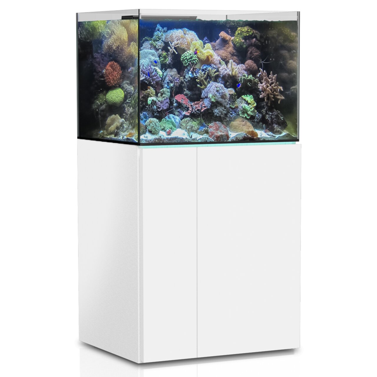 Aqua Medic Armatus 300 XD Aquarium, Meerwasser, weißer Unterschrank, modernes Design, für Aquaristik-Fans, 300 Liter.