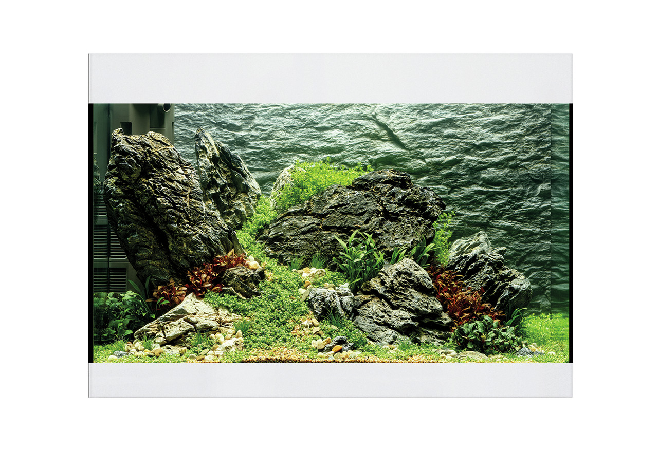 Oase HighLine 200 Aquarium, für Süßwasserfische, modernes Design, weißer Rahmen, dekoriert mit Steinen, Pflanzen & Kies.