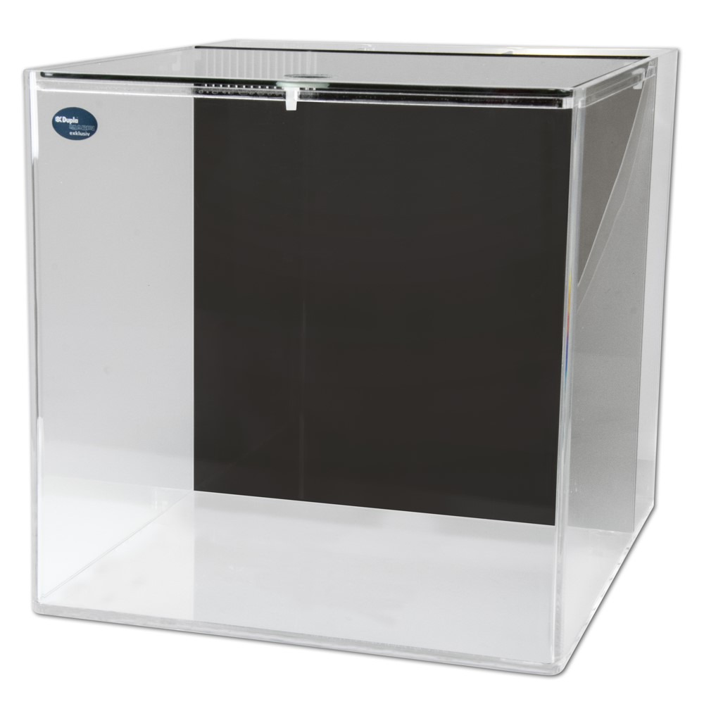 Ein hochwertiges, transparentes Aquarium der Marke Dupla, Modell Dupla Cube 80, mit einem Fassungsvermögen von 80 Litern. Das rechteckige Design mit klaren Glaswänden und schwarzem Hintergrund eignet sich ideal für Aquaristik-Enthusiasten. Perfekt für Süß