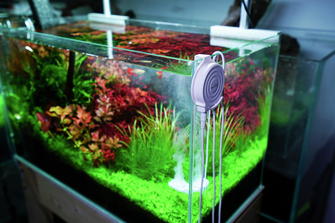 Das Bild zeigt ein modernes Aquarium mit üppiger, farbenfroher Bepflanzung in Grün- und Rottönen. Im Vordergrund ist der Chihiros Doctor 3 sichtbar, ein innovatives Gerät zur Verbesserung der Wasserqualität. Es ist an der Außenseite des Aquariums angebrac