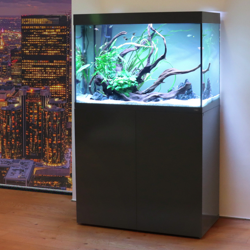 Amtra Aquarium EAN 8023222262294, f. Aquaristik-Enthusiasten, inkl. Pflanzen, Wurzeln, Fische, auf dunklem Unterschrank, ideal f. Wohnräume.