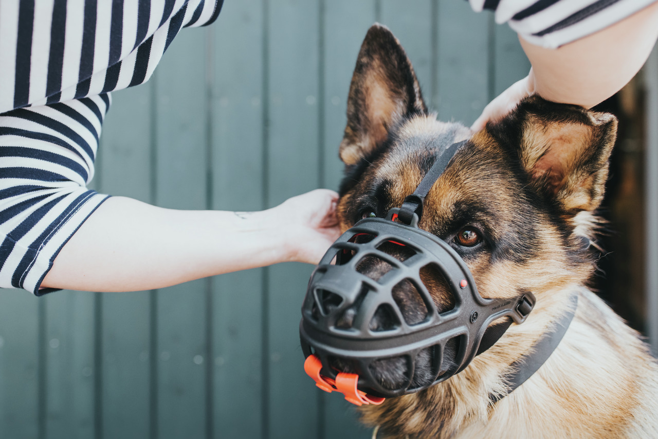 HUNTER ergonomischer Maulkorb, schwarz-rot, für große Hunde, sicher & bequem, ideal für öffentl. Bereiche.