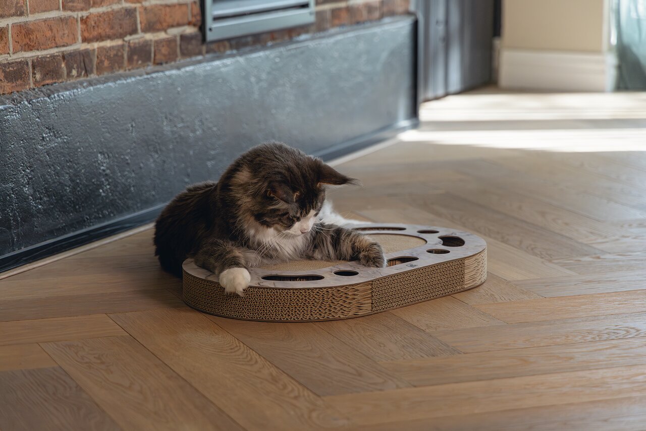 Designed by Lotte Katzenbett für Katzen, gemütlich und stilvoll. Beige Stoff, rund, 50 cm Durchmesser. Ideal zum Entspannen.