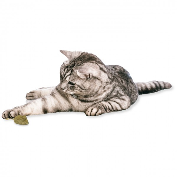 JR FARM Katzen-Snack Herzchen, für Katzen, unterstützt spielerisch die Beschäftigung, 125 g, herzförmig.