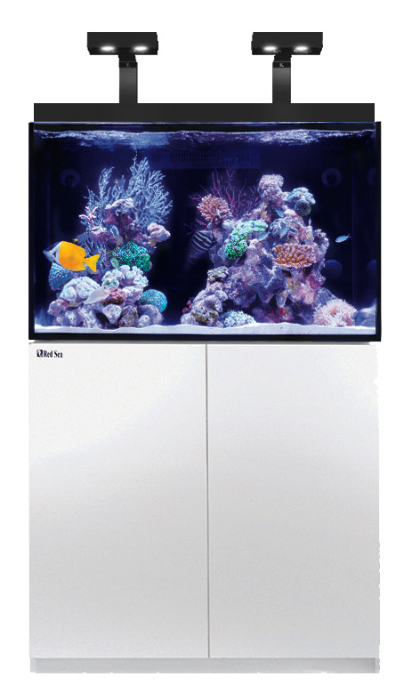 Red Sea MAX E 260 LED Aquarium mit Unterschrank weiß für Meerwasser