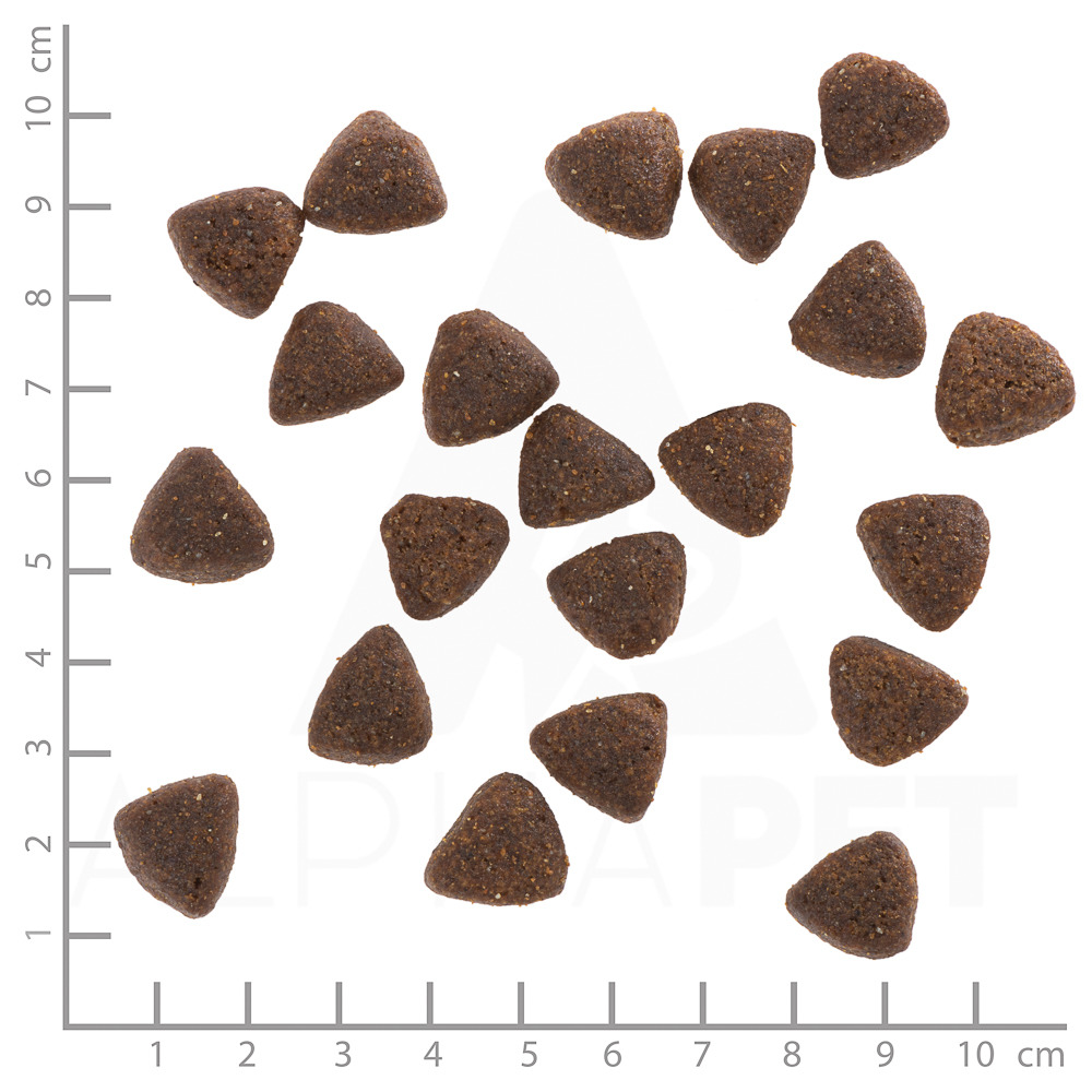 Das Bild zeigt Wolfsblut Trockenfutter für Hunde, Sorte "Wild Duck", mit Entengeschmack. Die Zielgruppe sind ausgewachsene Hunde. Die dreieckigen Kroketten sind dunkelbraun und etwa 1,5 cm groß. Die Menge ist nicht direkt erkennbar. Wolfsblut steht für ho